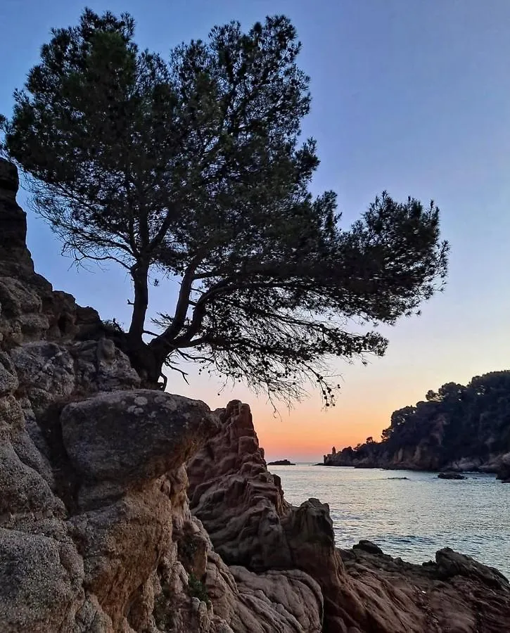 Villa Seahomes Vacations, La Casa Blue Mediterranean Lifestyle Blanes